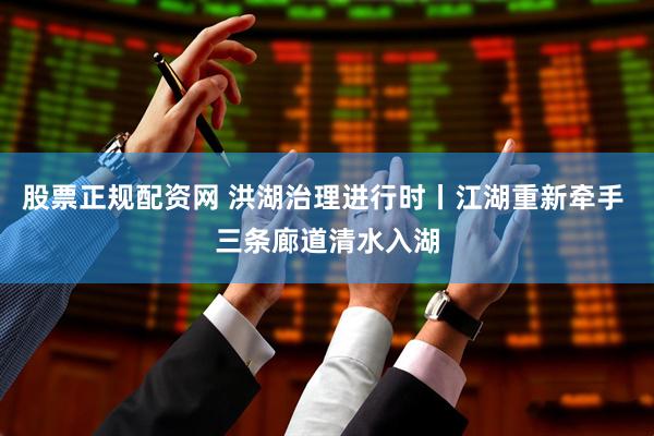 股票正规配资网 洪湖治理进行时丨江湖重新牵手 三条廊道清水入湖