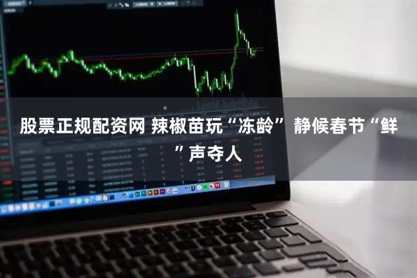 股票正规配资网 辣椒苗玩“冻龄” 静候春节“鲜”声夺人